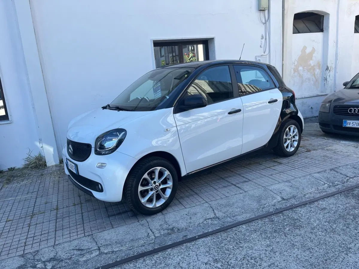 smart forfour usata a Massa-Carrara