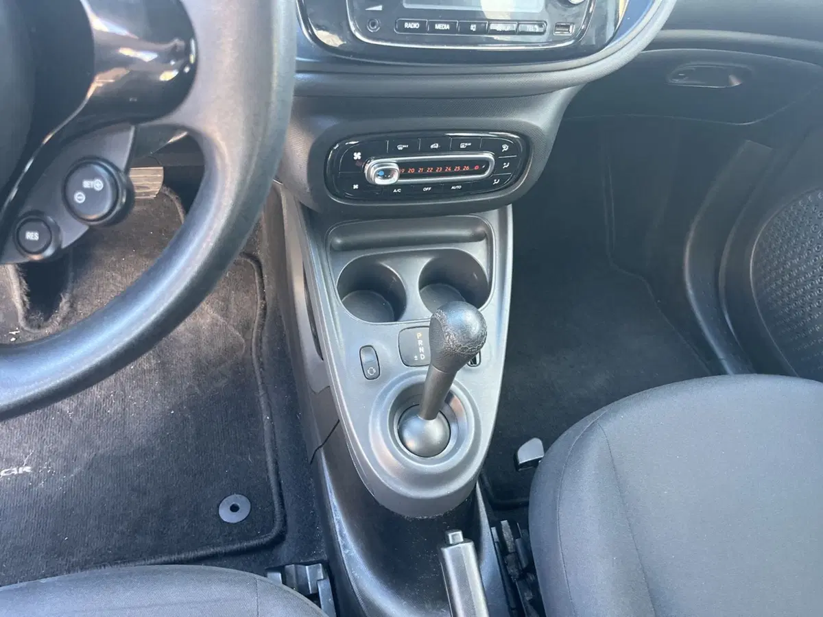 smart forfour usata a Massa-Carrara (10)