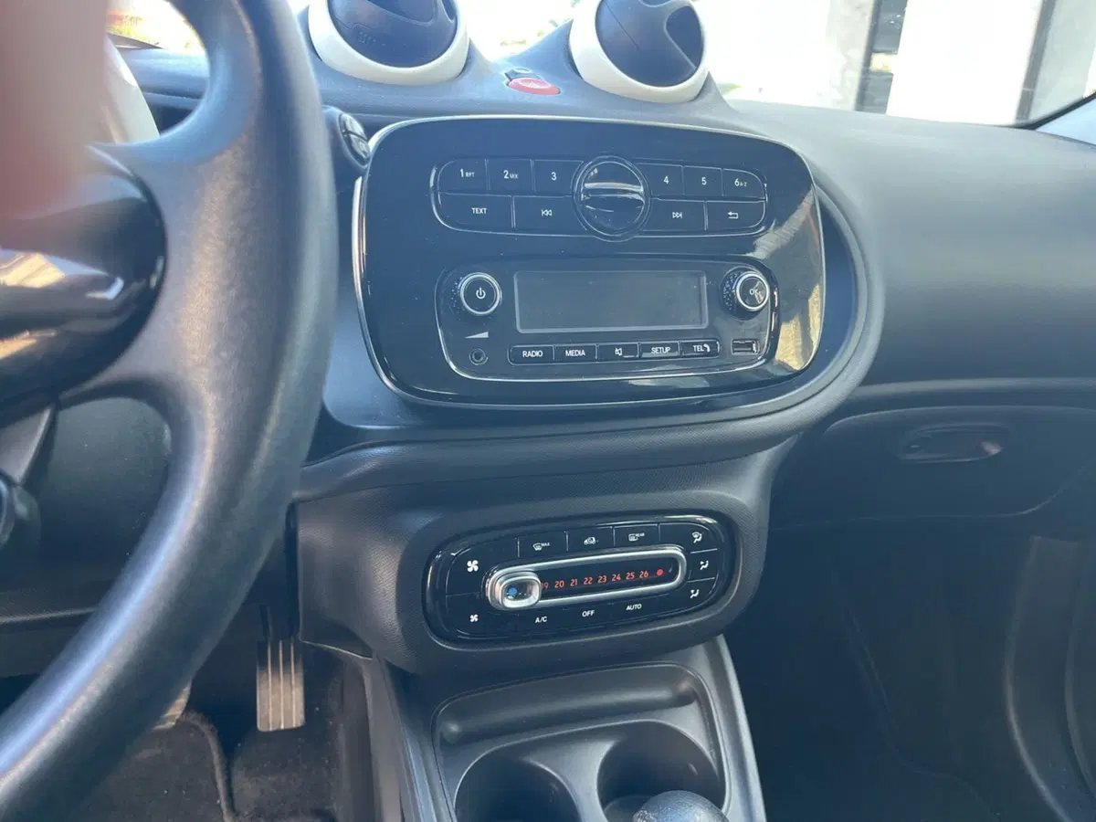 smart forfour usata a Massa-Carrara (11)