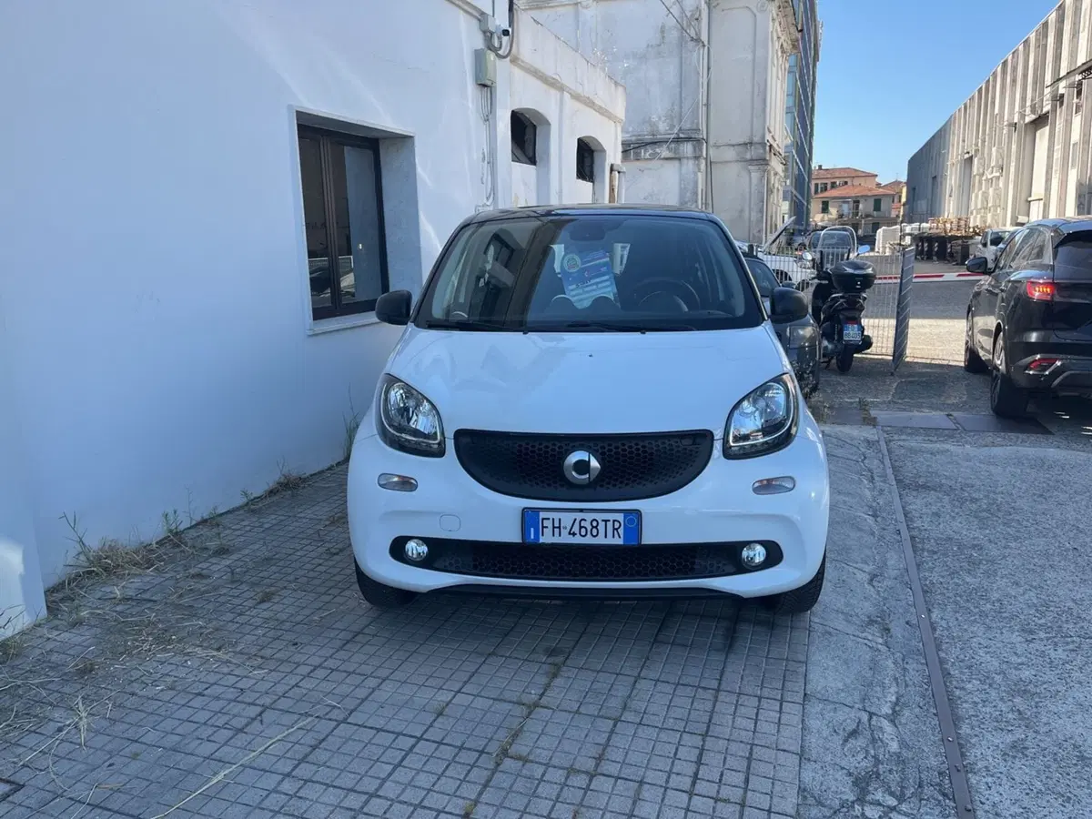 smart forfour usata a Massa-Carrara (5)