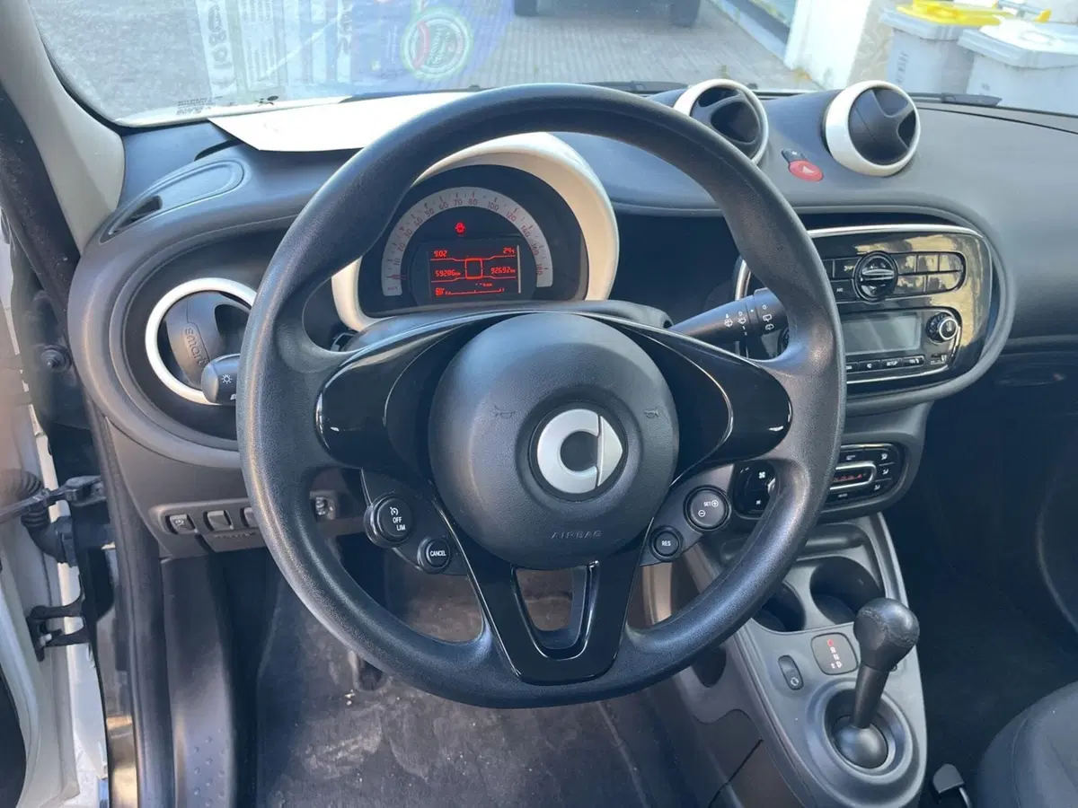 smart forfour usata a Massa-Carrara (9)