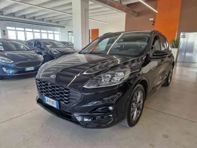 Ford Kuga 2.0 EcoBlue 120 CV aut. 2WD ST-Line X del 2023 usata a Imola