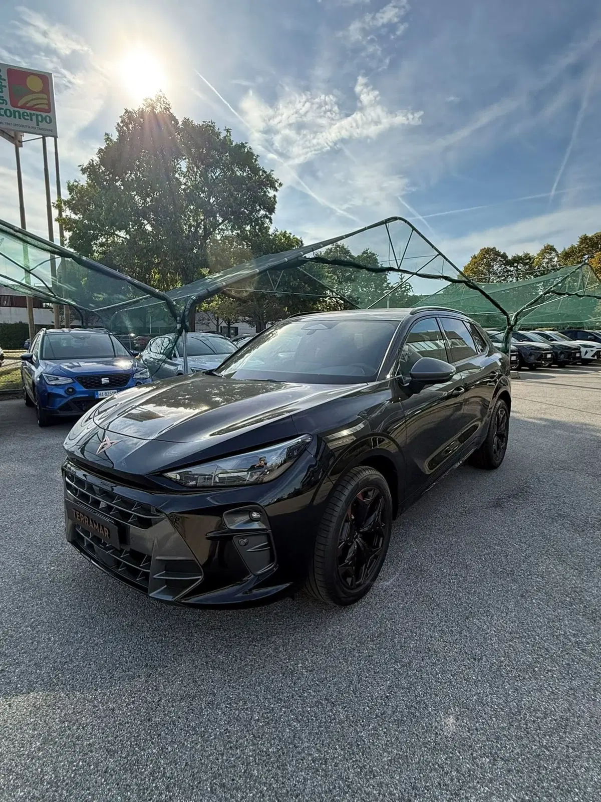 Cupra Terramar nuova a Bologna (12)