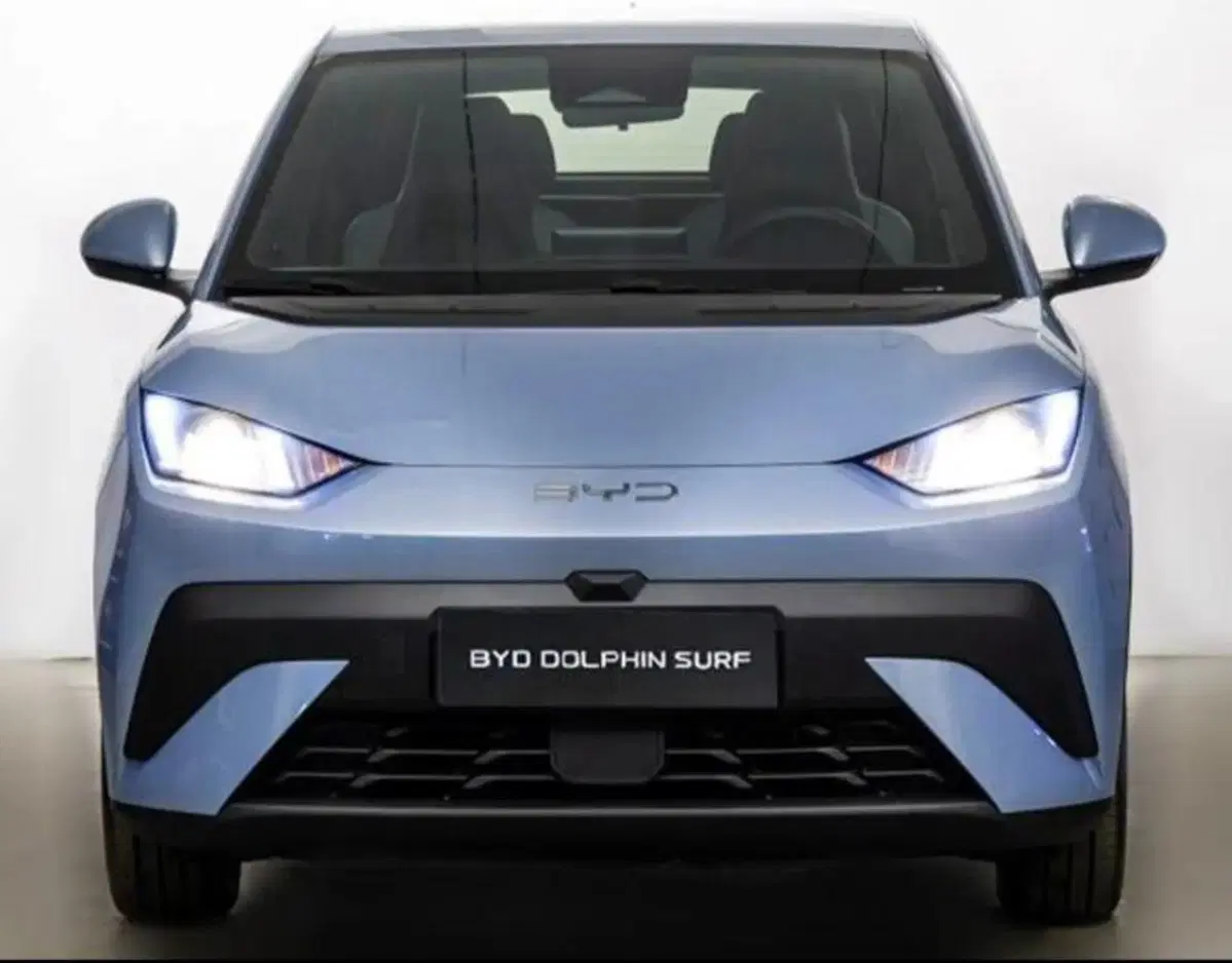 Byd Dolphin Surf usata a Bologna (2)
