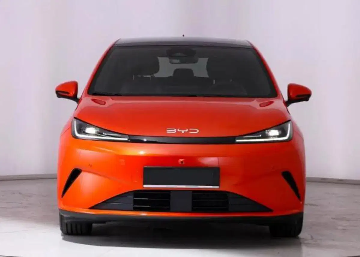 Byd Dolphin G DM-i usata a Bologna (2)