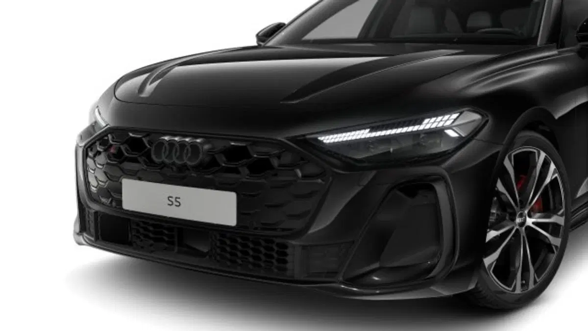 Audi S5 Avant nuova a Treviso (2)