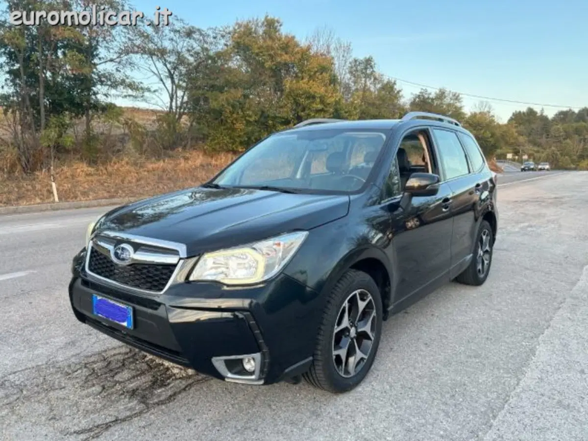 Subaru Forester usata a Campobasso
