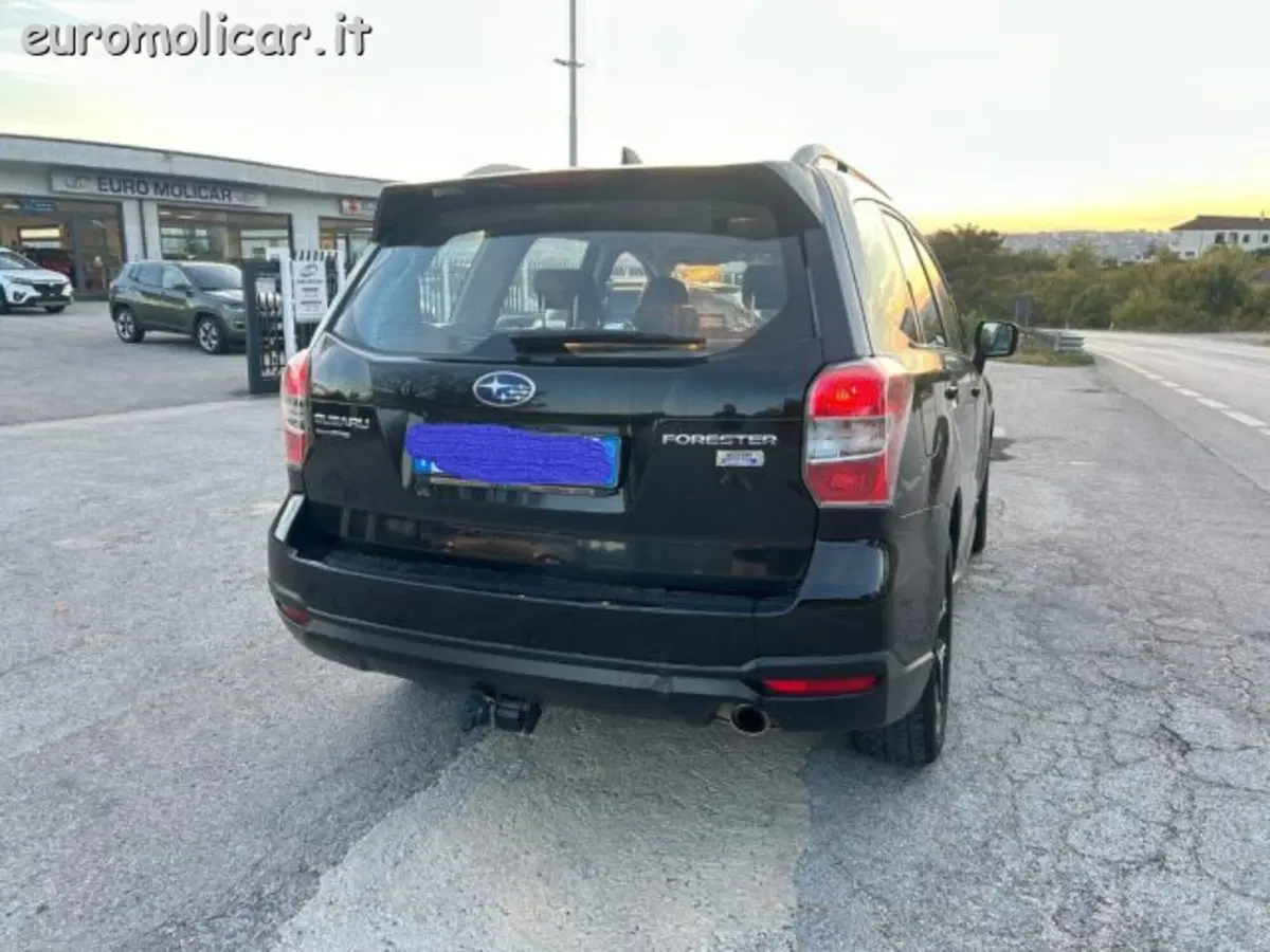 Subaru Forester usata a Campobasso (2)