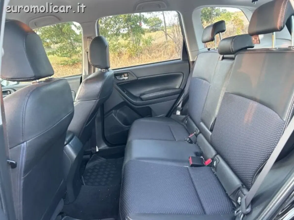Subaru Forester usata a Campobasso (4)