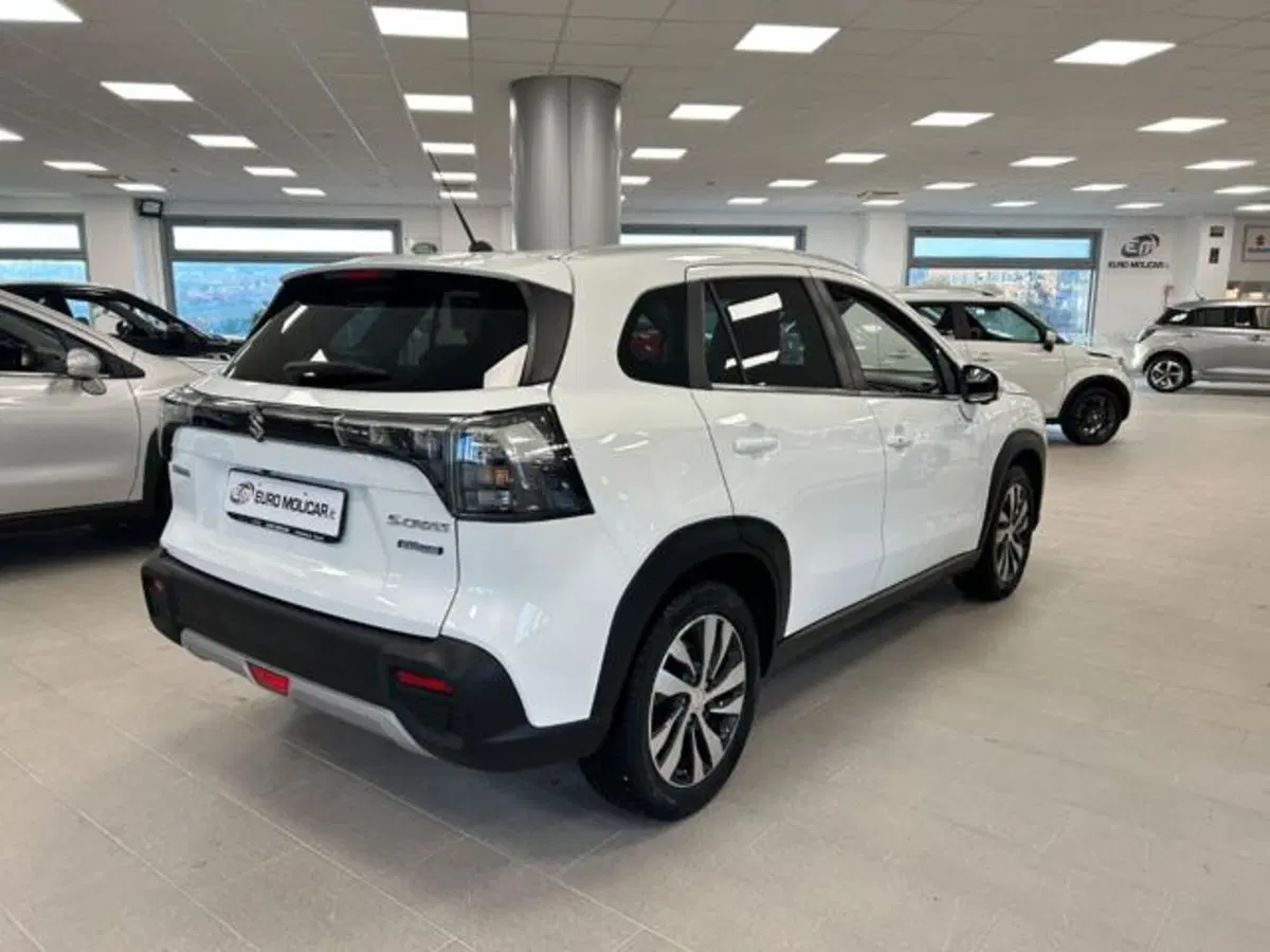 Suzuki S-Cross usata a Campobasso (12)