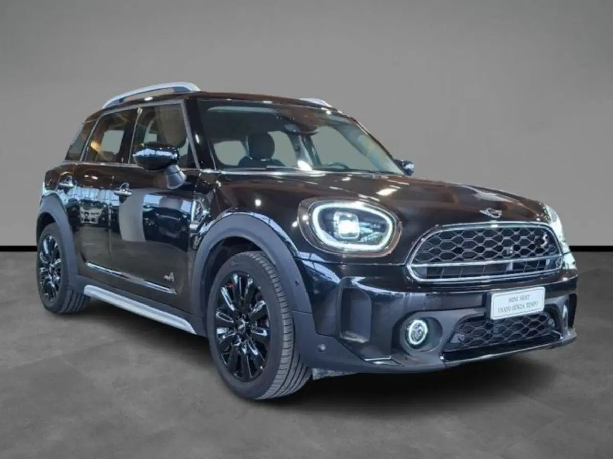 MINI Mini Countryman usata a Verona (15)