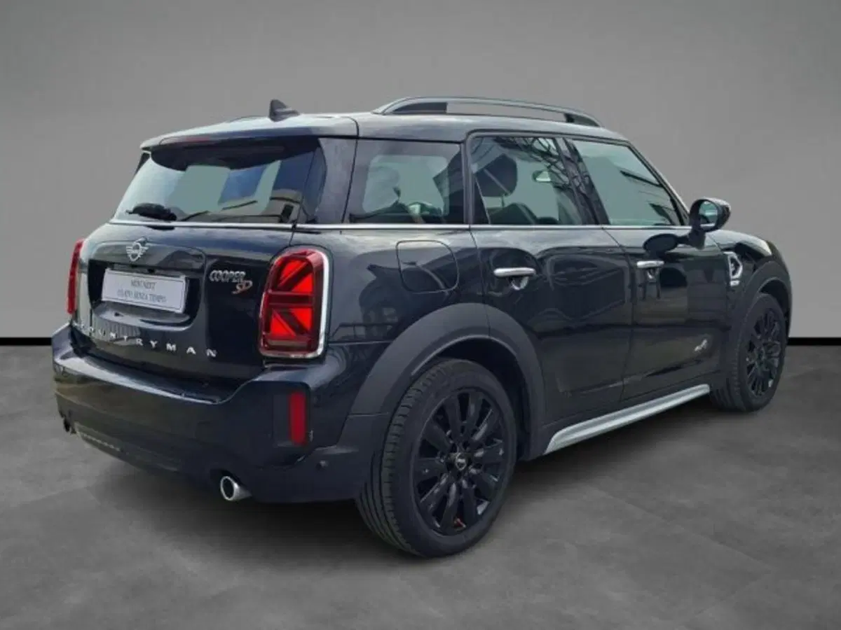 MINI Mini Countryman usata a Verona (16)