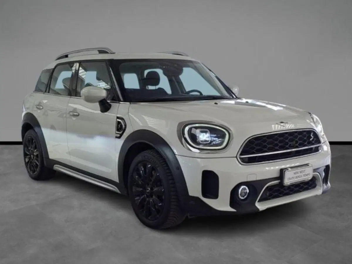 MINI Mini Countryman usata a Verona (16)