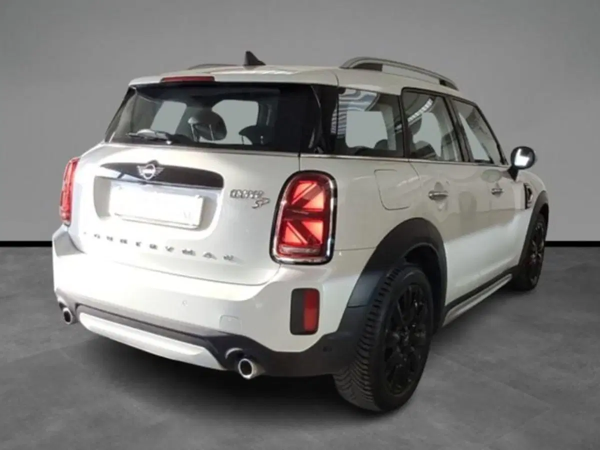 MINI Mini Countryman usata a Verona (17)