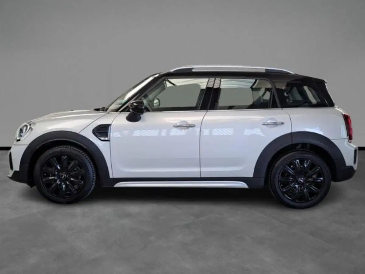 MINI Mini Countryman usata a Verona (3)