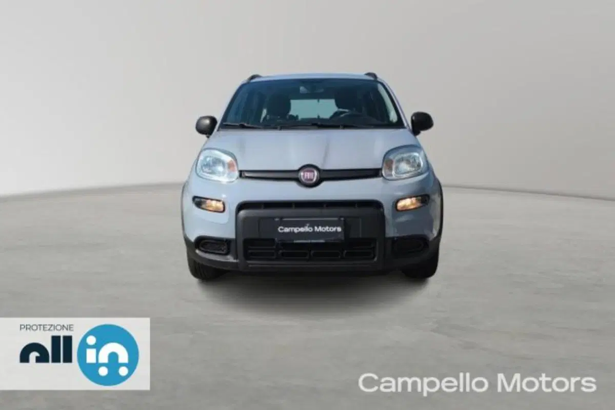 Fiat Panda usata a Venezia (2)