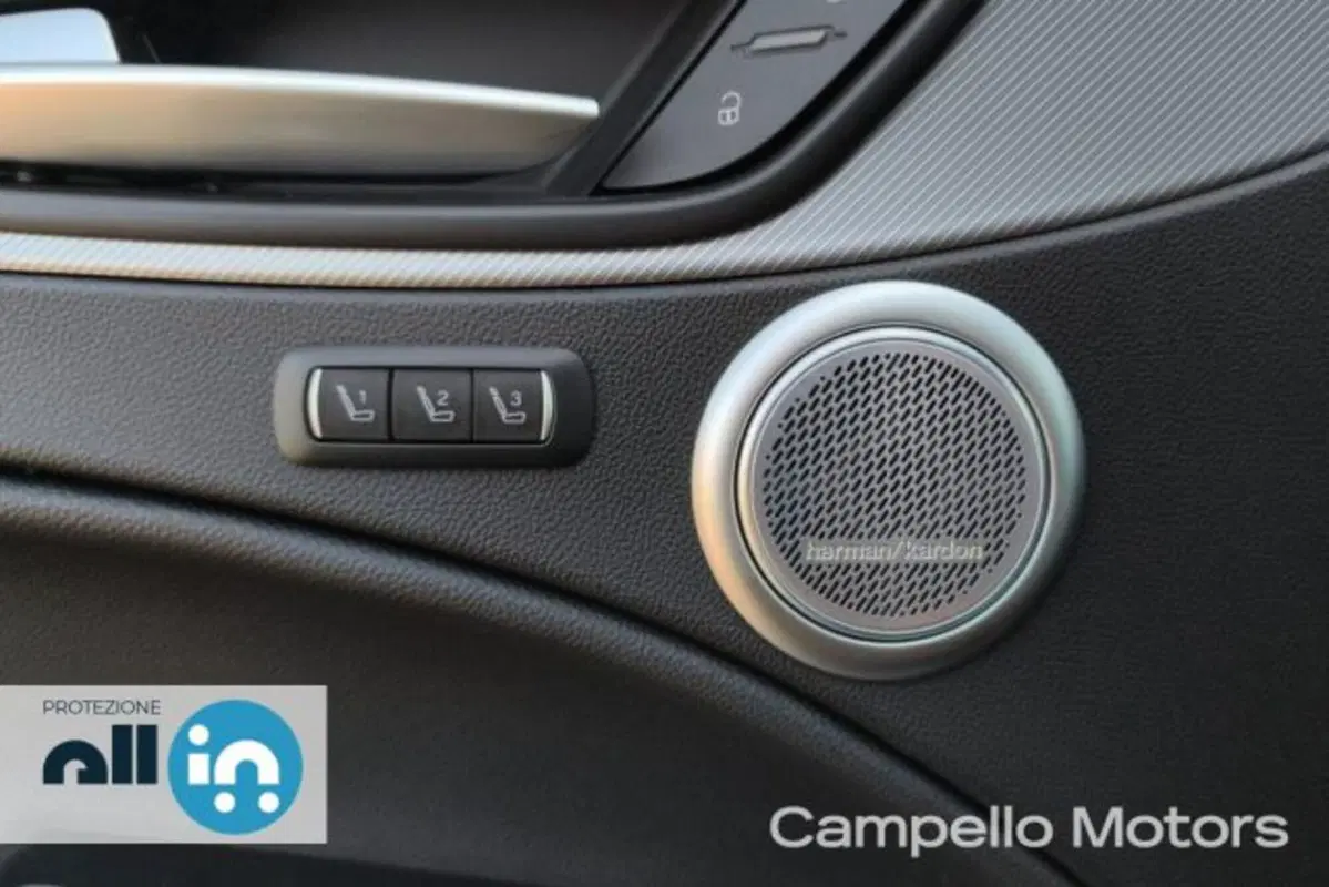 Alfa Romeo Stelvio usata a Venezia (18)