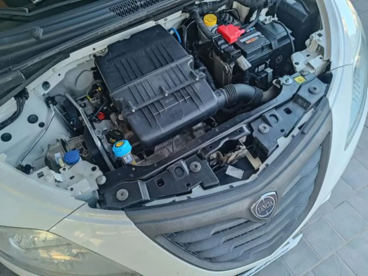 Lancia Ypsilon usata a Pisa (2)