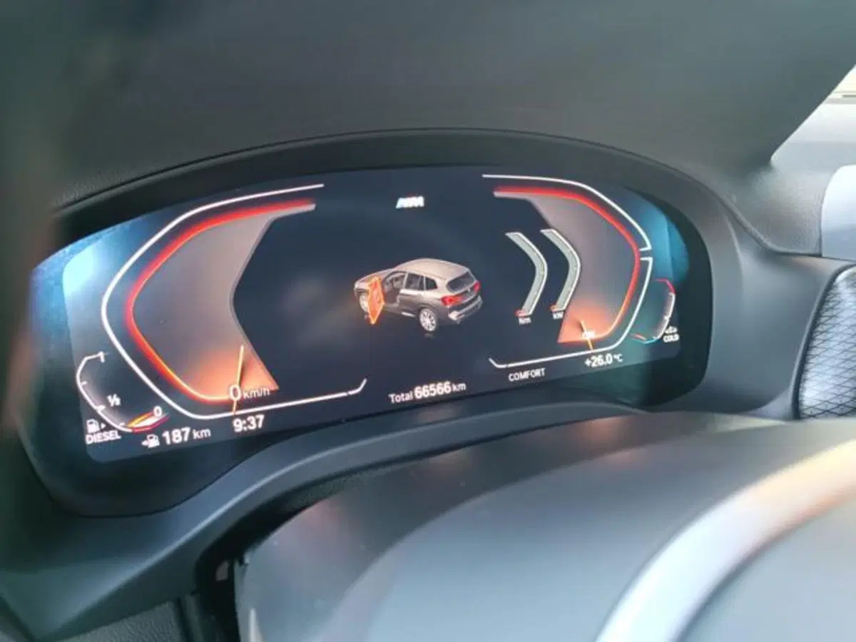 BMW X3 usata a Pisa (5)