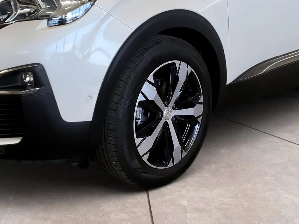 Peugeot 3008 usata a Torino (15)