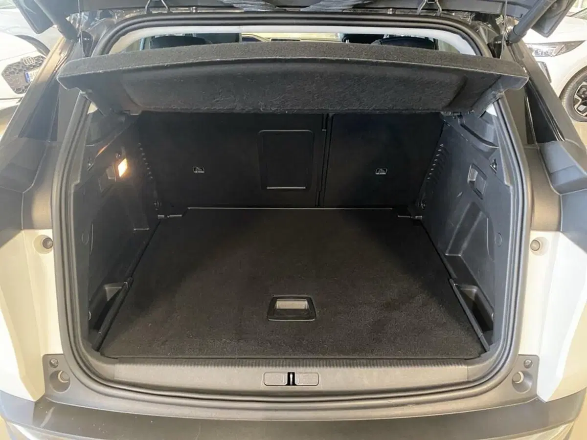 Peugeot 3008 usata a Torino (9)