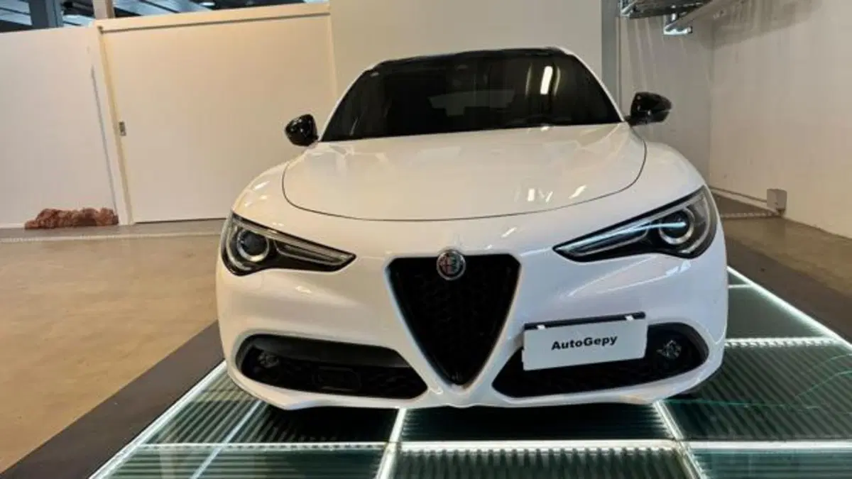 Alfa Romeo Stelvio usata a Reggio Emilia (2)