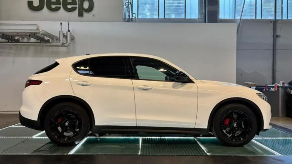 Alfa Romeo Stelvio usata a Reggio Emilia (7)