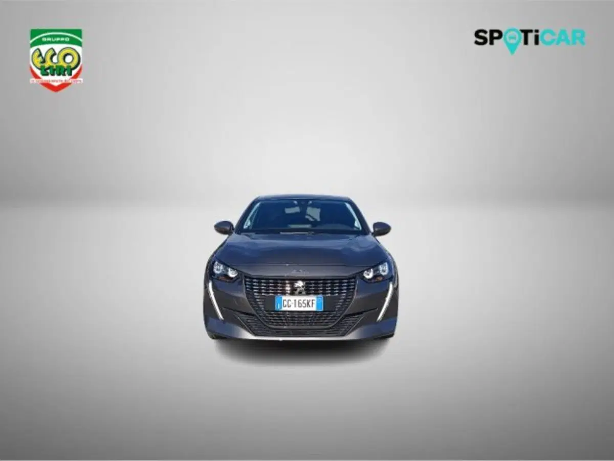Peugeot 208 usata a Frosinone (18)