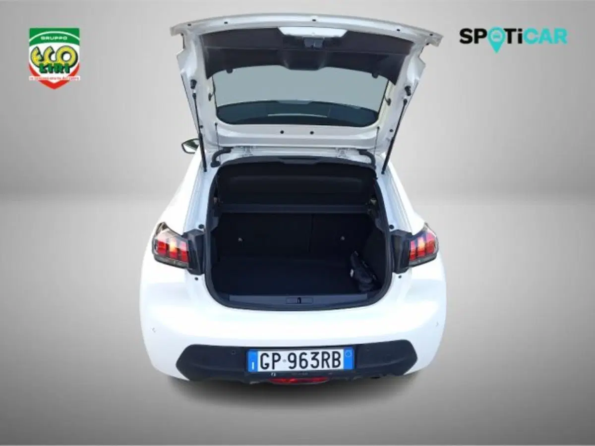 Peugeot 208 usata a Frosinone (8)