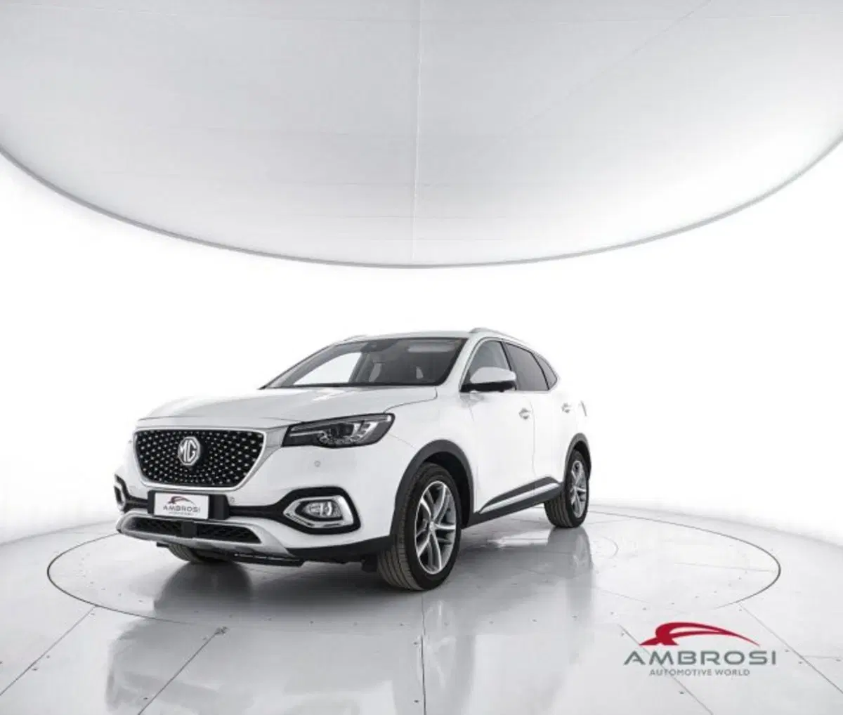 Mg HS usata a Perugia