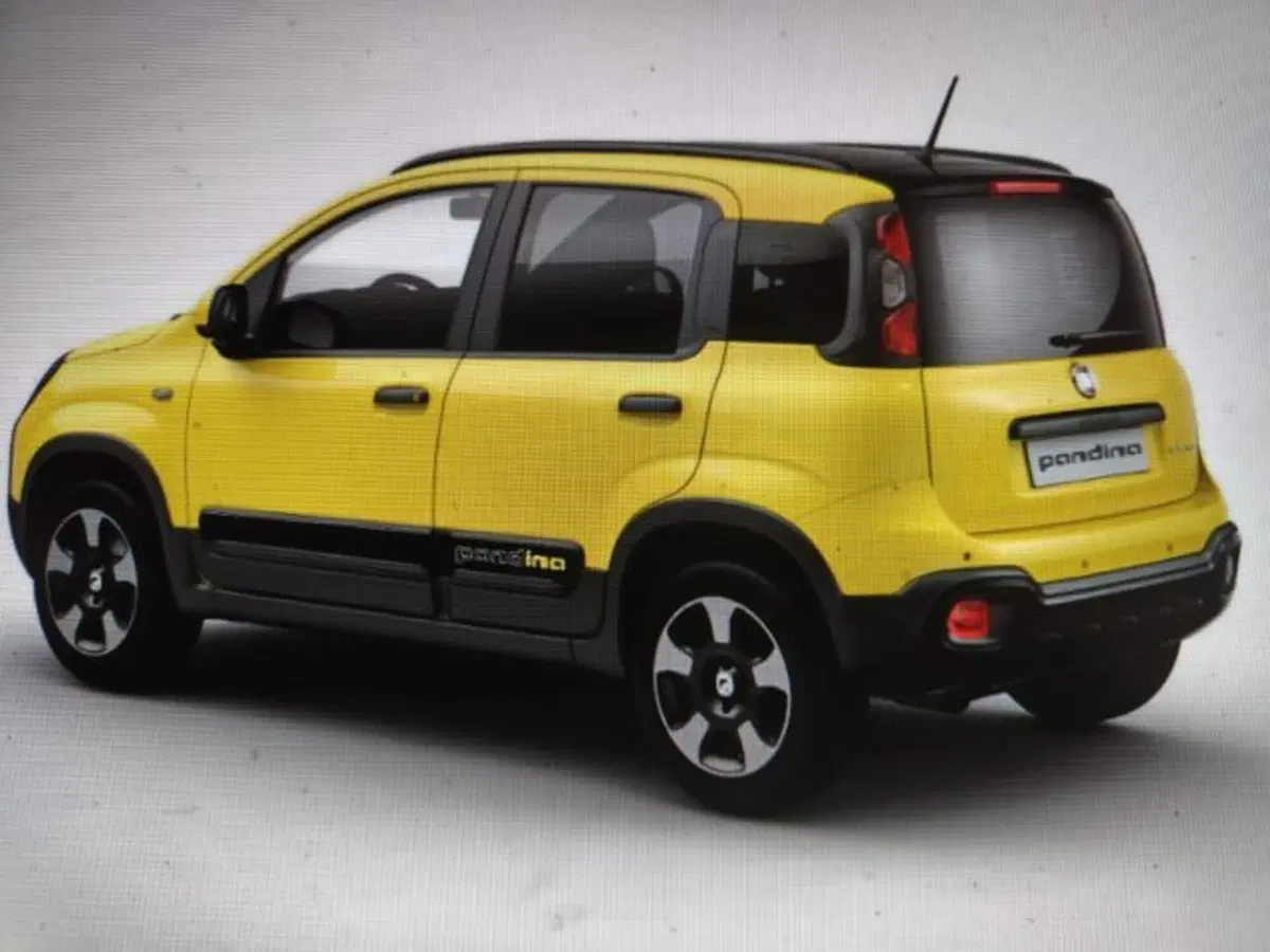 Fiat Panda Cross nuova a Forlì-Cesena (2)