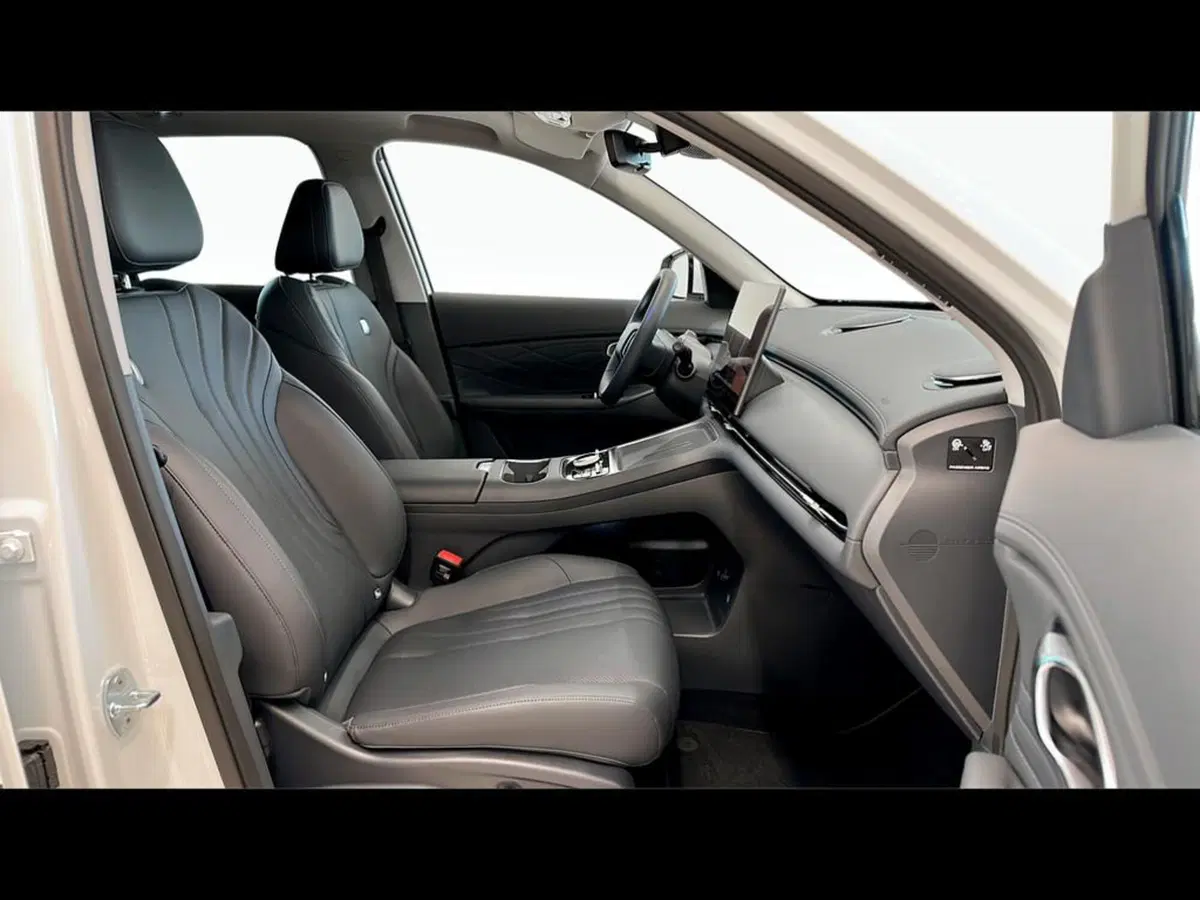 Geely Starray usata a Varese (3)