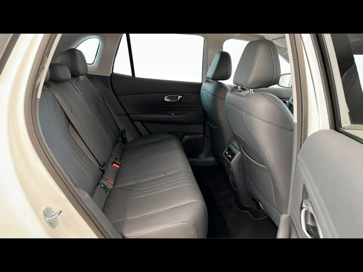 Geely Starray usata a Varese (5)