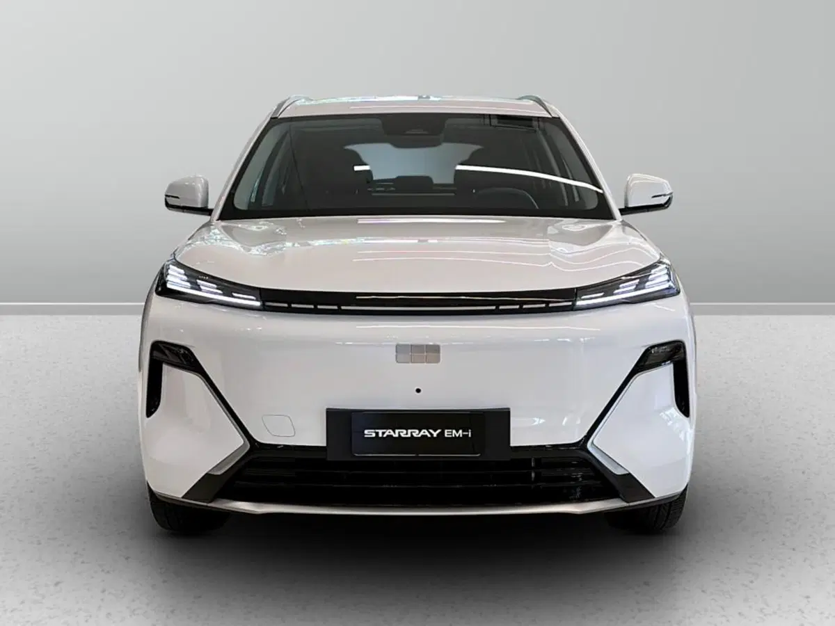 Geely Starray usata a Varese (8)