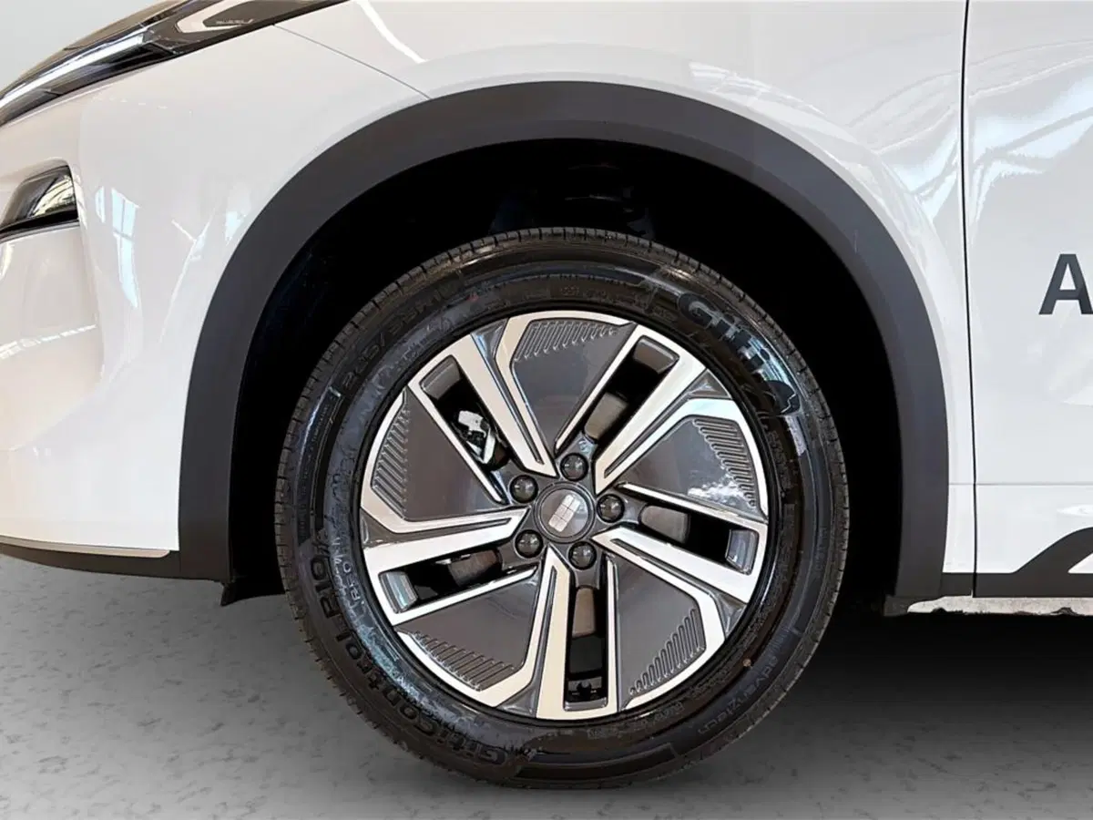 Geely Starray usata a Varese (9)