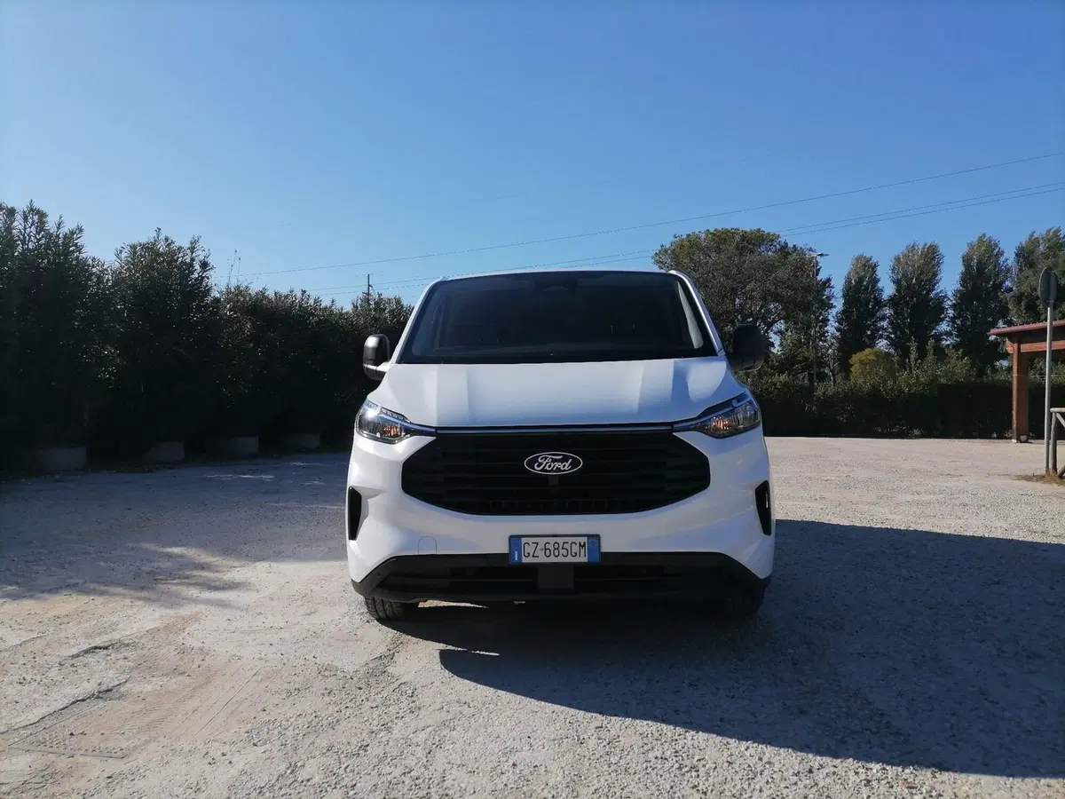 Ford Transit Custom Furgone usata a Roma (5)