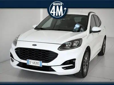 Ford Kuga 2.0 EcoBlue 150CV aut. AWD ST-Line X del 2021 usata a Prato