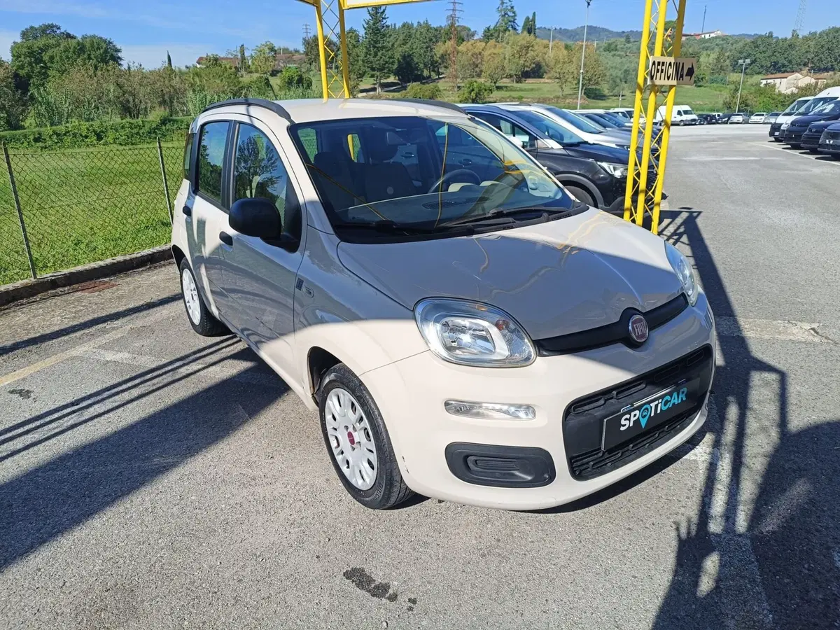 Fiat Panda usata a Pistoia (2)