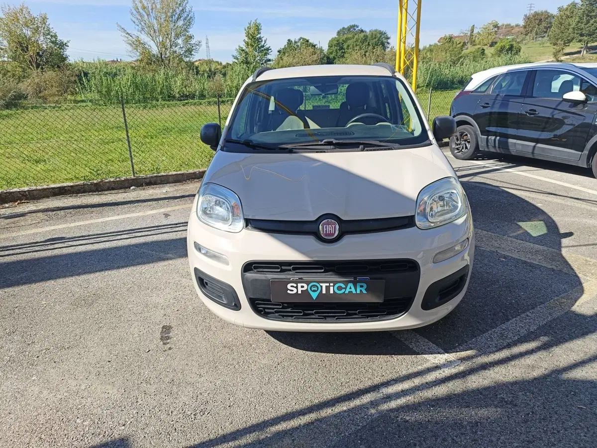 Fiat Panda usata a Pistoia (3)