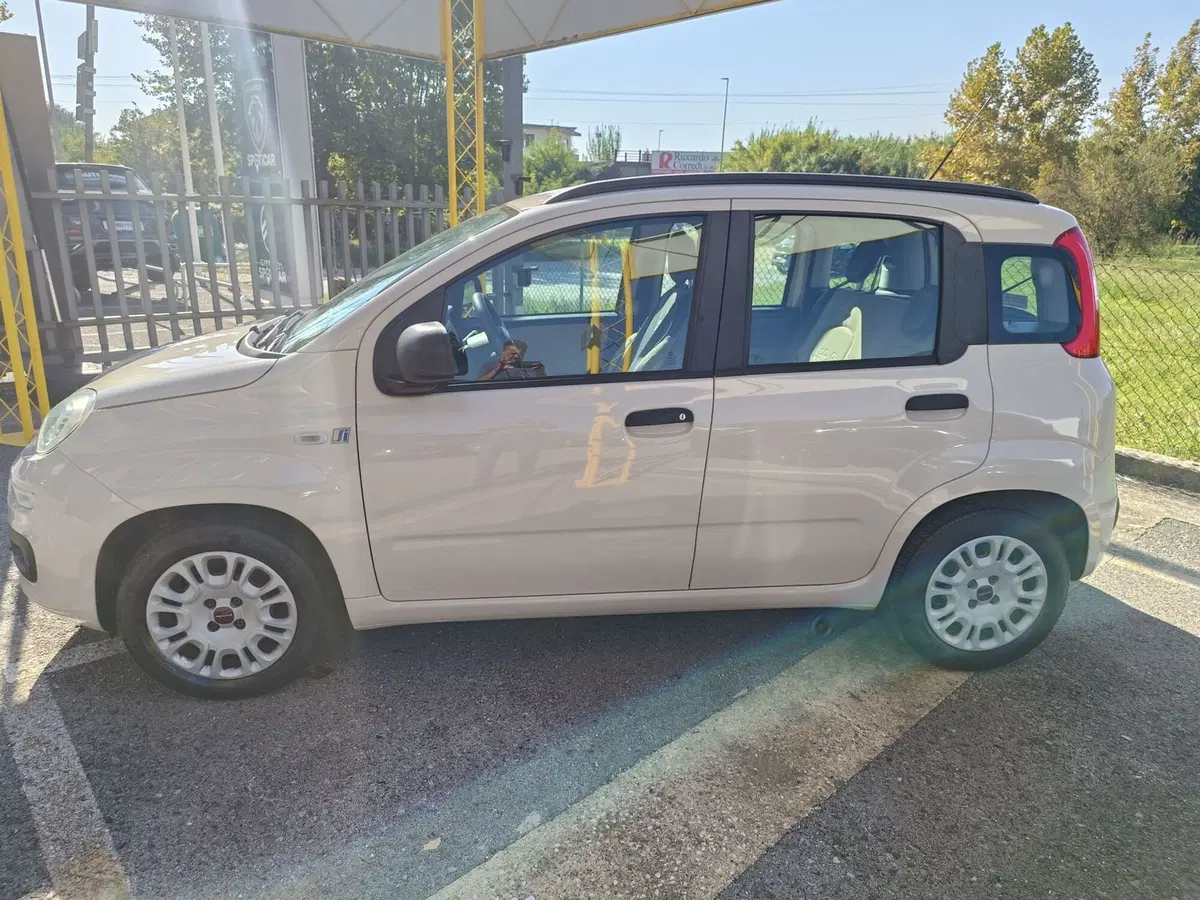 Fiat Panda usata a Pistoia (4)