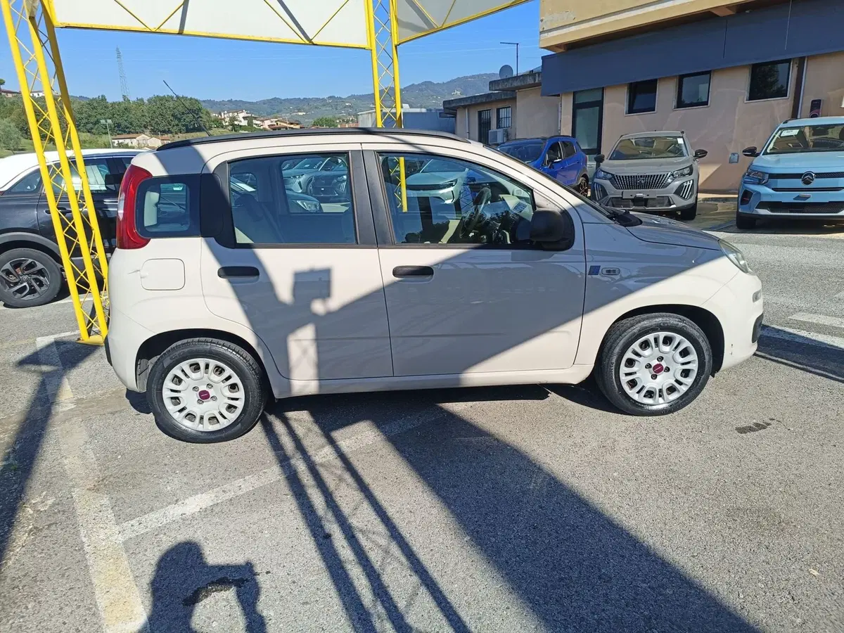 Fiat Panda usata a Pistoia (5)