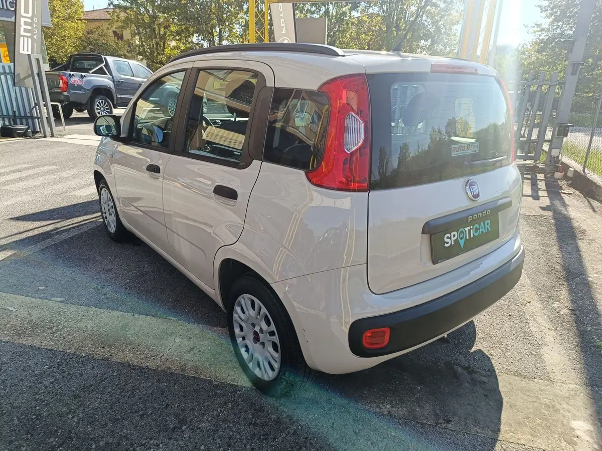 Fiat Panda usata a Pistoia (7)