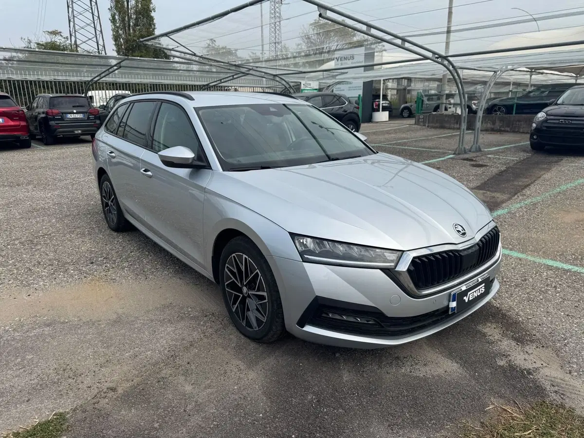 Skoda Octavia Station Wagon usata a Monza e Brianza (19)