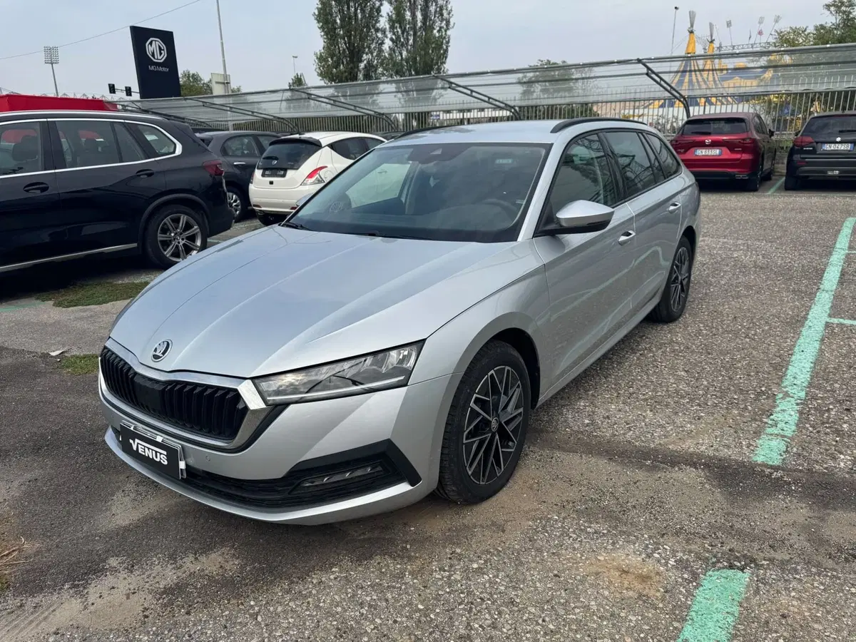 Skoda Octavia Station Wagon usata a Monza e Brianza (3)