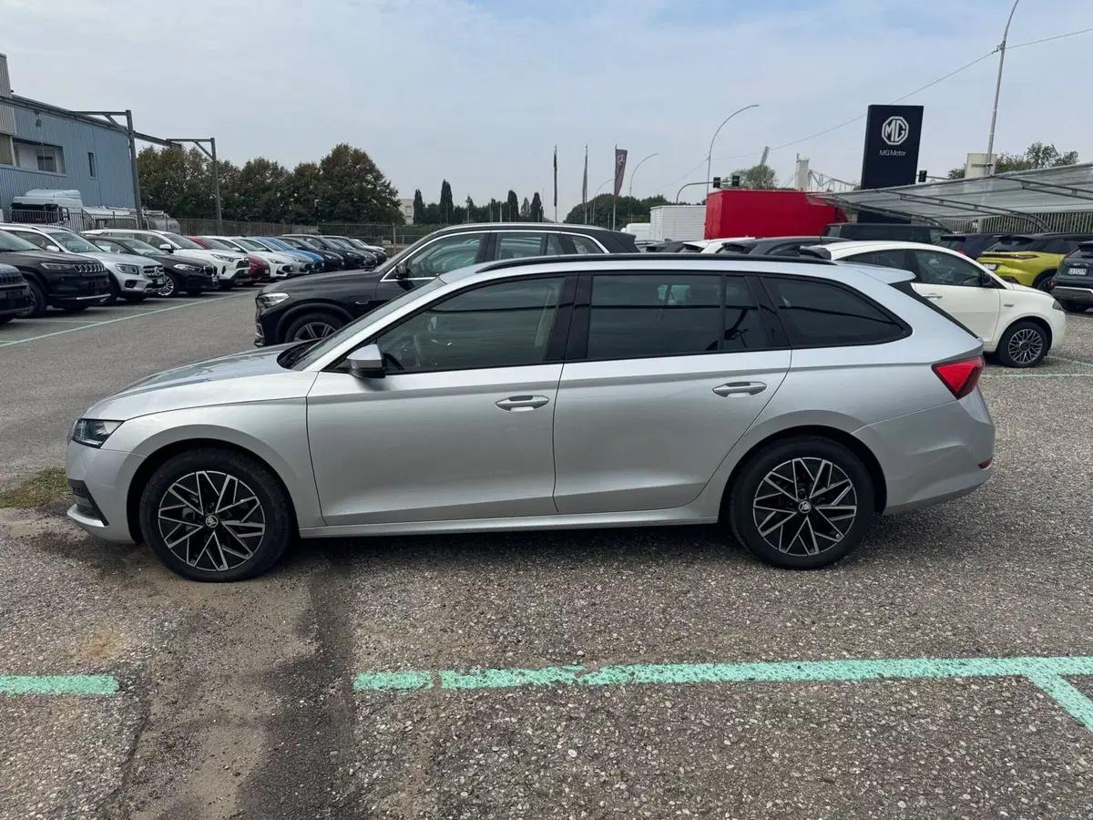 Skoda Octavia Station Wagon usata a Monza e Brianza (4)
