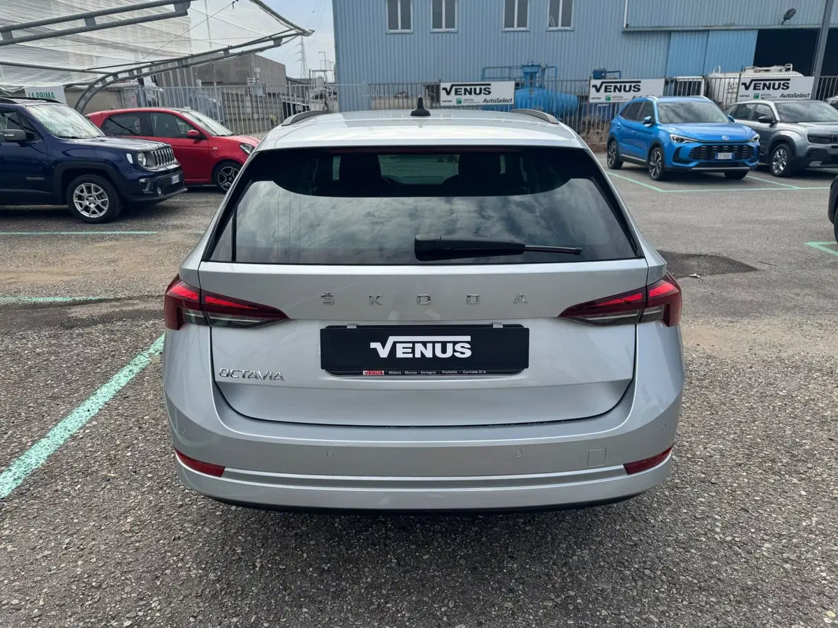 Skoda Octavia Station Wagon usata a Monza e Brianza (6)