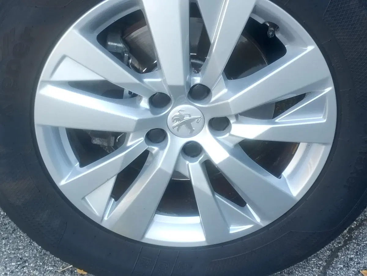 Peugeot 3008 usata a Rimini (14)