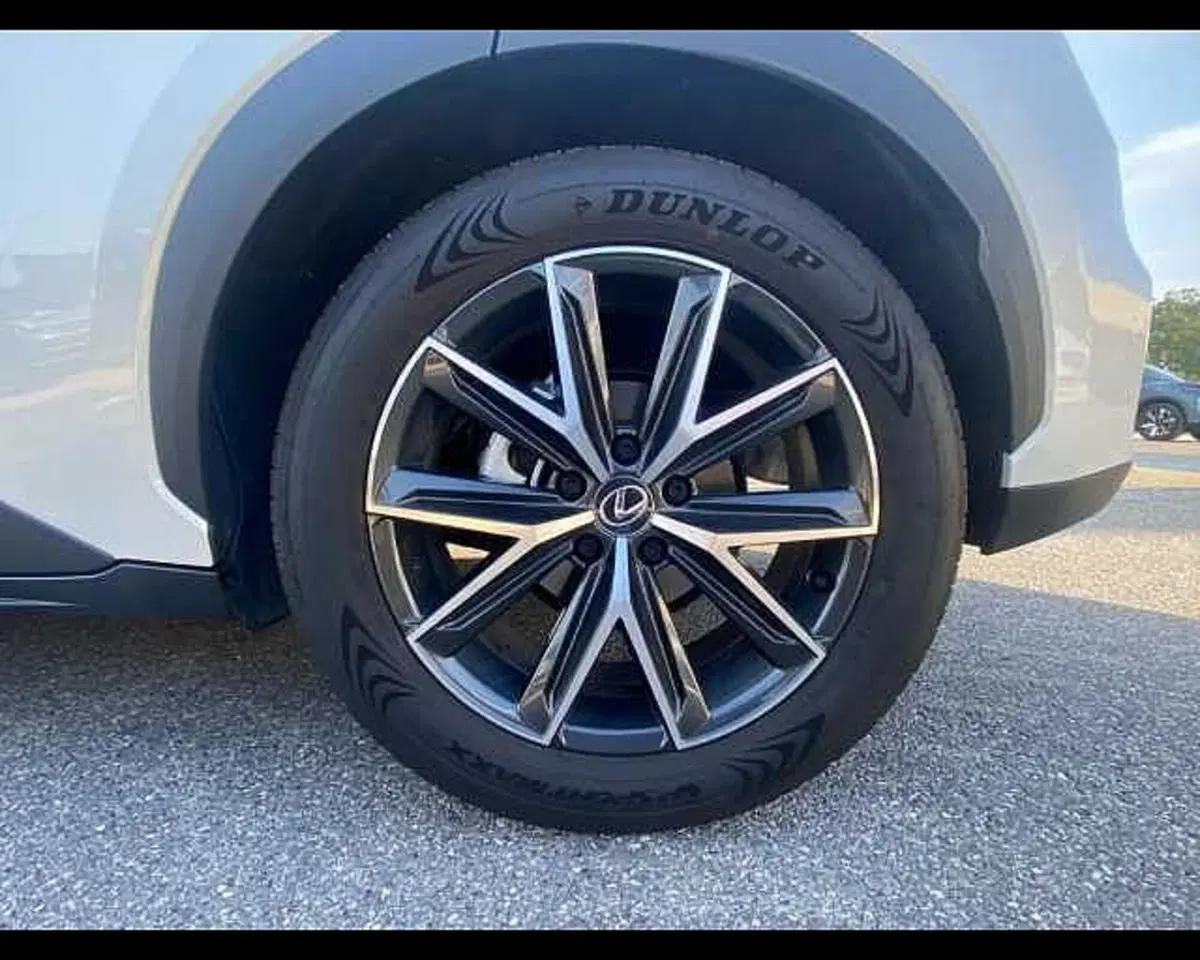 Lexus LBX usata a Cremona (10)
