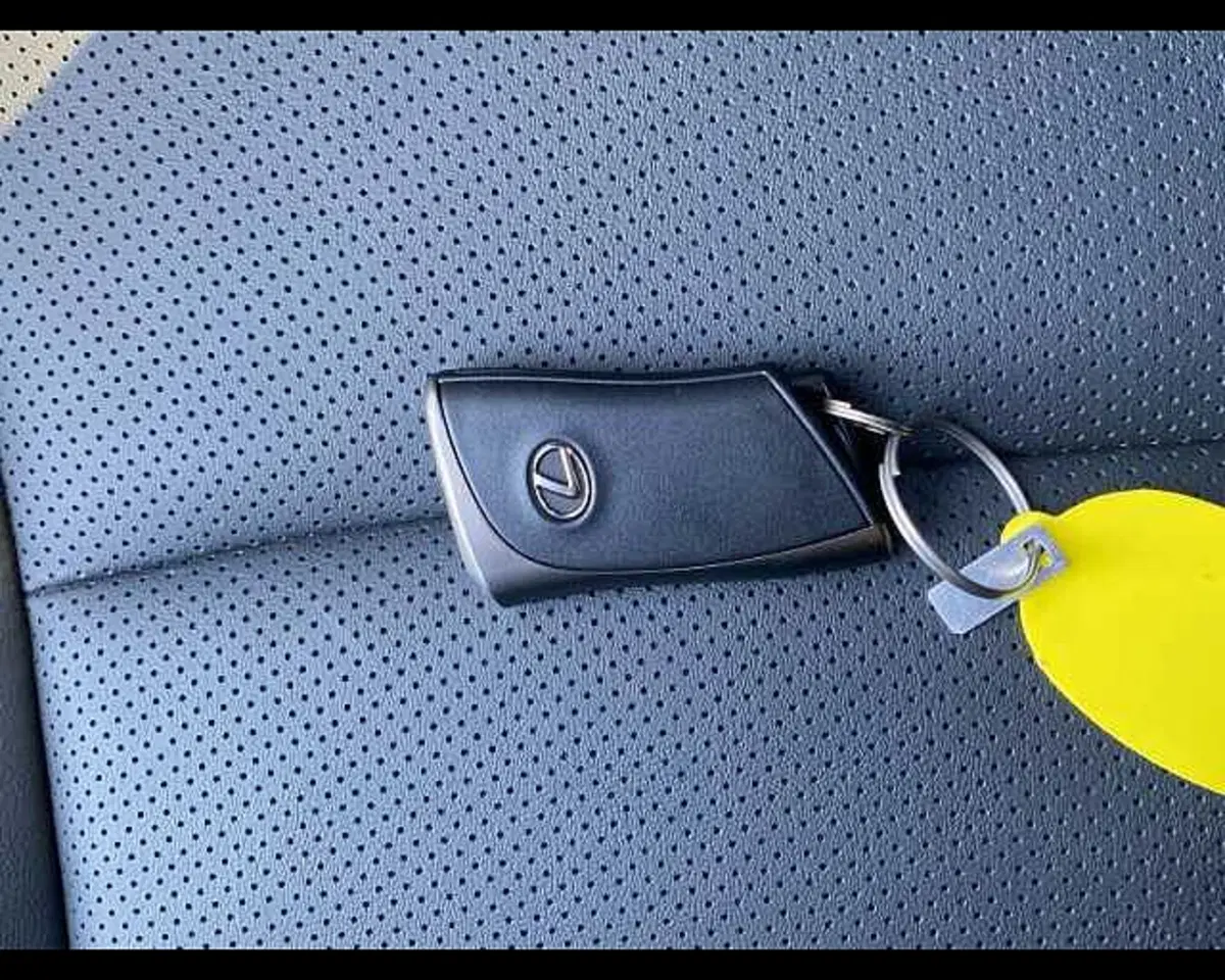 Lexus LBX usata a Cremona (18)