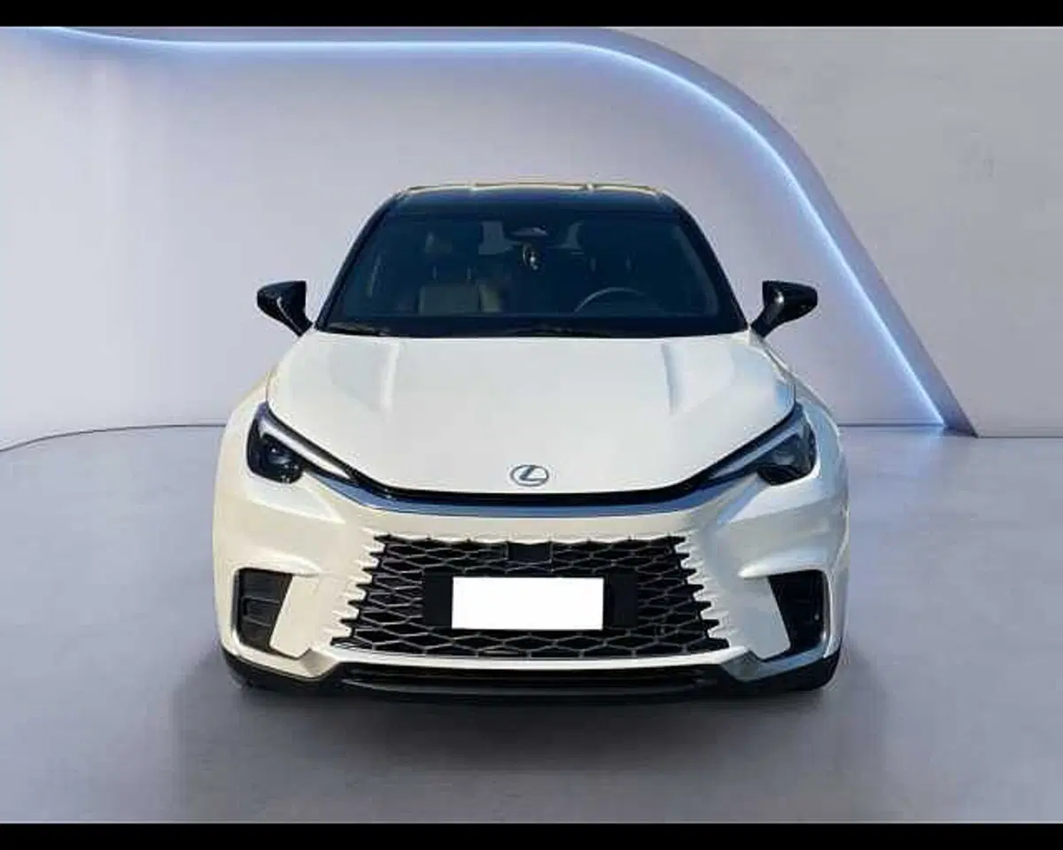Lexus LBX usata a Cremona (2)